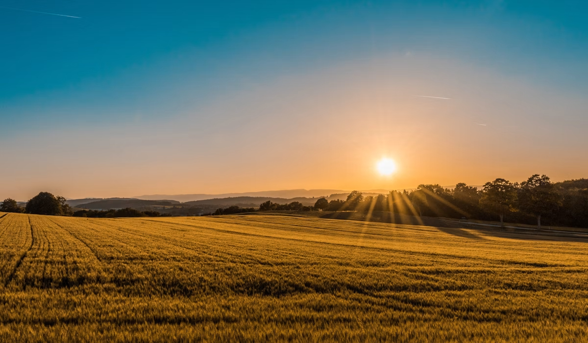 Farm Land Development — Aali Builders
